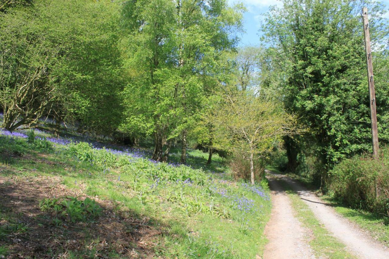 Church Hill Farm Monmouth Luaran gambar