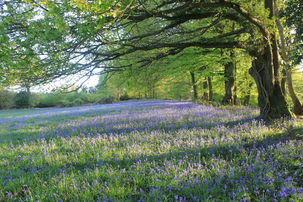 Church Hill Farm Monmouth Luaran gambar